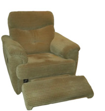 Plan electric recliner for sale  ALFORD