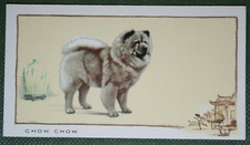 Cartão de cachorro CHOW CHOW vintage década de 1930 ilustrado FE11 comprar usado  Enviando para Brazil