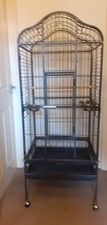 Large parrot bird for sale  FARINGDON