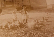 Usado, Cartão postal foto real RPPC PEAKE GIRLS ALIMENTANDO GALINHAS Barre VT 1909 AVES comprar usado  Enviando para Brazil