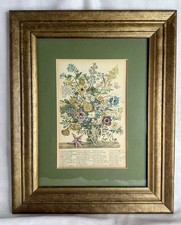 Robert furber november for sale  Prince George