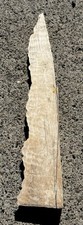 Spalted big leaf for sale  Camas
