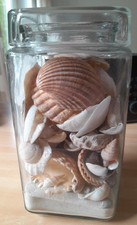 Muschel potpourri einem gebraucht kaufen  Pfullingen