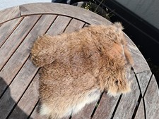 Peau lapin 37 d'occasion  Lorient