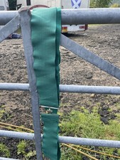 Elasticated surcingle summer for sale  KINROSS