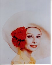 Audrey hepburn movie for sale  Pittsfield
