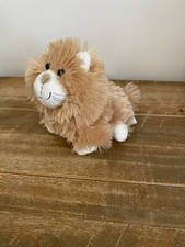 Elc ginger fluffy for sale  NOTTINGHAM