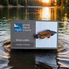 Rspb pin badge for sale  GREAT YARMOUTH