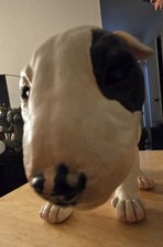 Bull terrier dog for sale  Stockton