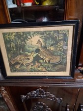 Currier ives litho for sale  Pensacola
