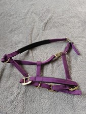Shires purple headcollar for sale  FALKIRK