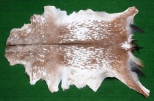 New goat hide for sale  SOUTHALL