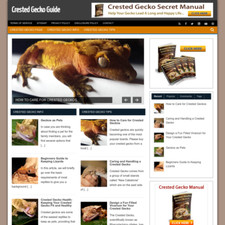Crested gecko guide for sale  Saint Johns