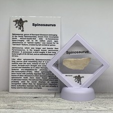 Spinosaurus extinct dinosaur for sale  Davenport