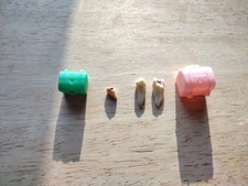 Real teeth extracted for sale  Rockville