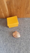 Enamel clam shell for sale  WREXHAM