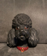Bossons black poodle for sale  BIRMINGHAM