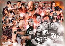 Poster print wwe for sale  BOGNOR REGIS