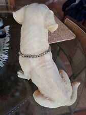 Yellow labrador retriever for sale  College Station