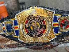 Heavyweight championship spinn for sale  MITCHAM