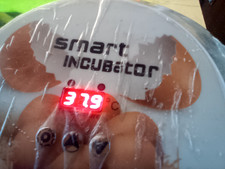 Smart incubator brooder for sale  WATCHET