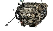 Motore ford max usato  Trambileno