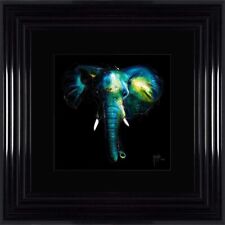 Patrice murciano wild for sale  MANSFIELD