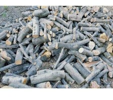 Legna ardere 100kg usato Legna ardere 100kg usato  Italia