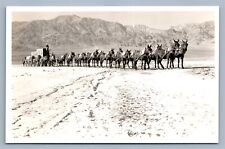 CARRUAGEM MULAS BÓRAX TRANSPORTADO DE MINAS CA VINTAGE FOTO REAL CARTÃO POSTAL RPPC comprar usado  Enviando para Brazil