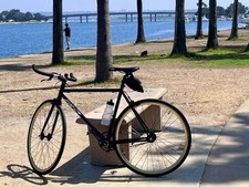 Urban cycle bull for sale  San Diego