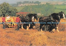 D286256 harvest scene for sale  WARLINGHAM