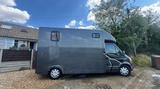 Renault master horse for sale  BURY ST. EDMUNDS