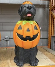 Black lab halloween for sale  Modesto