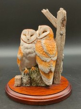 Charming barn owl for sale  LEEDS
