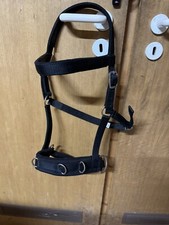 Kappzaum wb gebraucht kaufen  Wettenberg