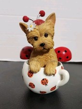 Cute bug yorkie for sale  O Fallon
