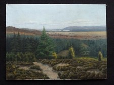 Finn wennerwald 1896 gebraucht kaufen  Leverkusen