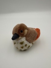 Audubon birds hermit for sale  Virginia Beach
