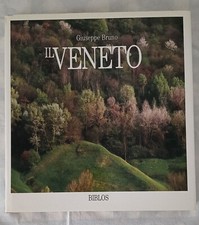 Veneto libro fotografico usato  Venezia