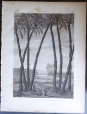 1820s description egypte for sale  San Diego