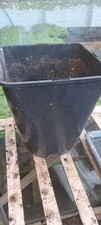 Litre square plastic for sale  BLACKPOOL