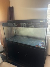 100 gallon glass for sale  San Jose