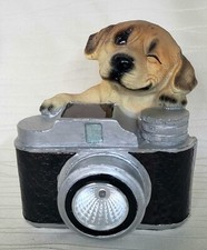 Hund kamera solarleuchte gebraucht kaufen  Radolfzell am Bodensee