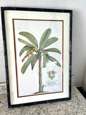 Botanical art tropical for sale  Visalia