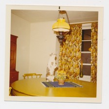 Charming 1970 tabby for sale  Litchfield Park