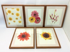 Set wood framed for sale  Ashley Falls