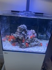 Red sea reefer gebraucht kaufen Red sea reefer gebraucht kaufen  Kleve