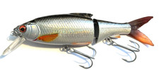 Savage gear roach gebraucht kaufen  Dortmund