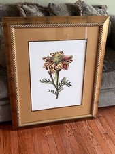 Large professionally framed for sale  Wilkes Barre