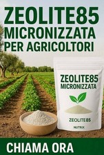 Zeolite pura micronizzata usato  Brindisi